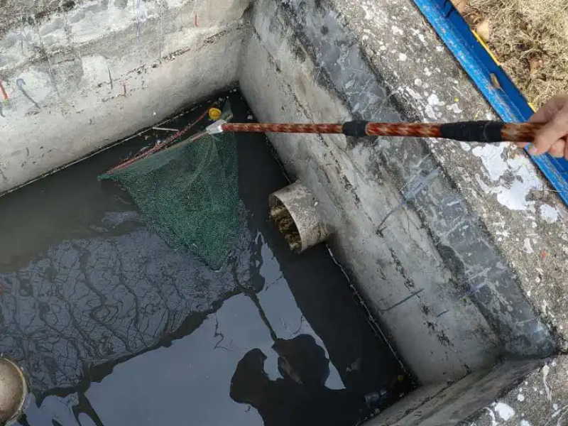 苏州张家港附近管道清洗 抽粪吸污 清理化粪池